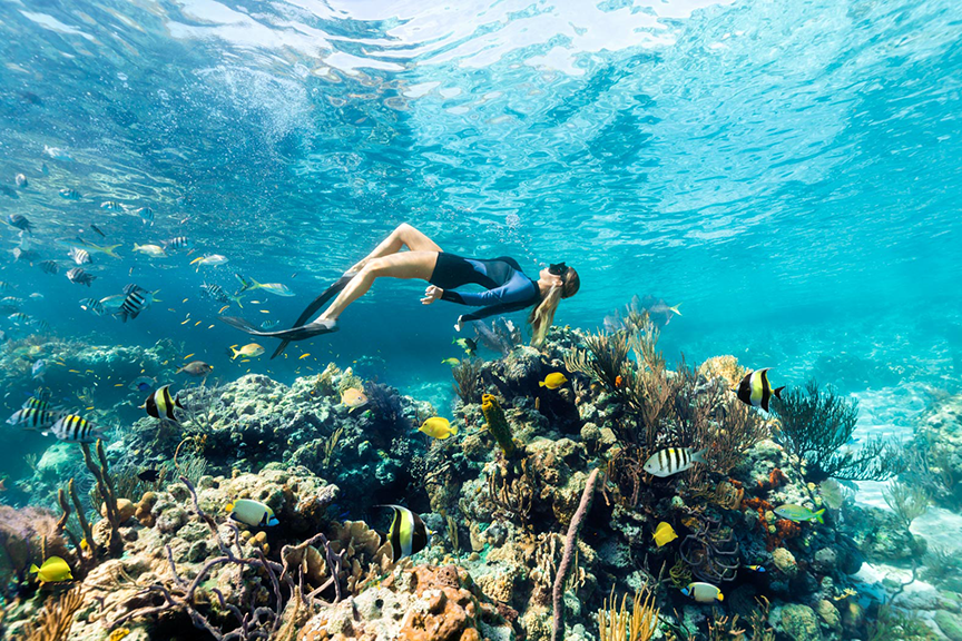 La riqueza de los arrecifes de Las Bahamas también se puede disfrutar en Bimini
